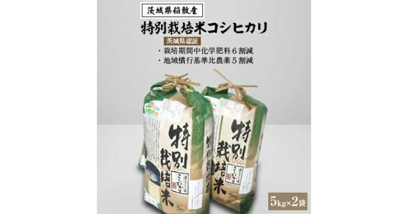 【ふるさと納税】【令和6年産・新米】茨城県認証　特別栽培米コシヒカリ10kg(5kg×2袋)【配送不可地域：離島・沖縄県】【1042773】