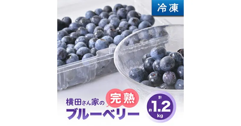 【ふるさと納税】横田さん家の冷凍完熟ブルーベリー　4パック【配送不可地域：離島】【1085839】