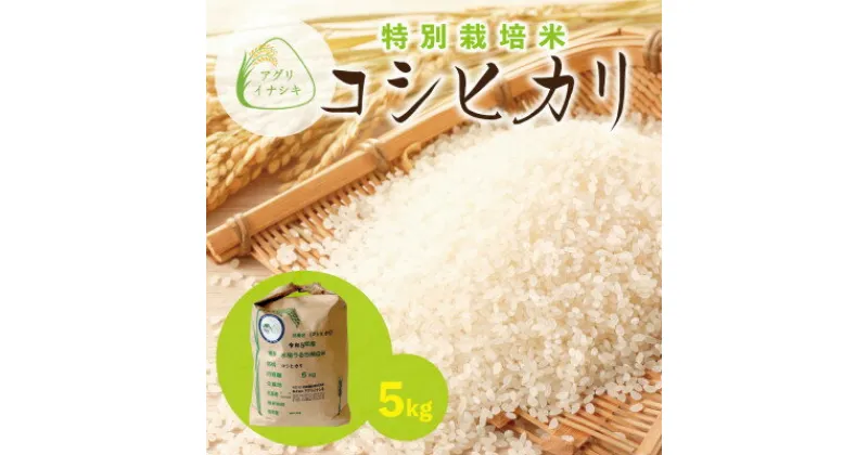 【ふるさと納税】令和6年産　特別栽培米コシヒカリ　5kg【配送不可地域：離島・沖縄県】【1545995】