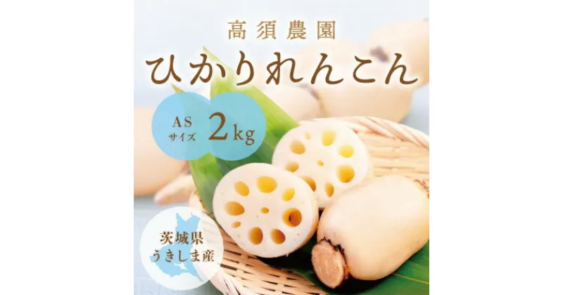 【ふるさと納税】ひかりれんこん 2kg ASサイズ 産地直送 浮島産れんこん【配送不可地域：離島・沖縄県】【1545989】