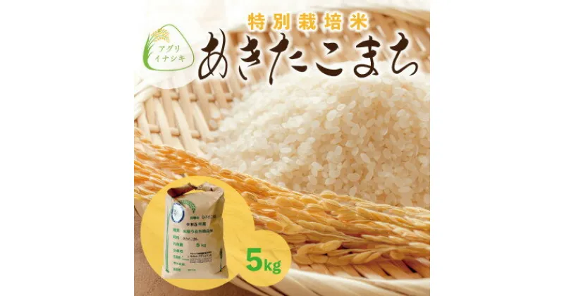 【ふるさと納税】新米　令和6年産　特別栽培米あきたこまち　5kg×1袋【配送不可地域：離島・沖縄県】【1545992】