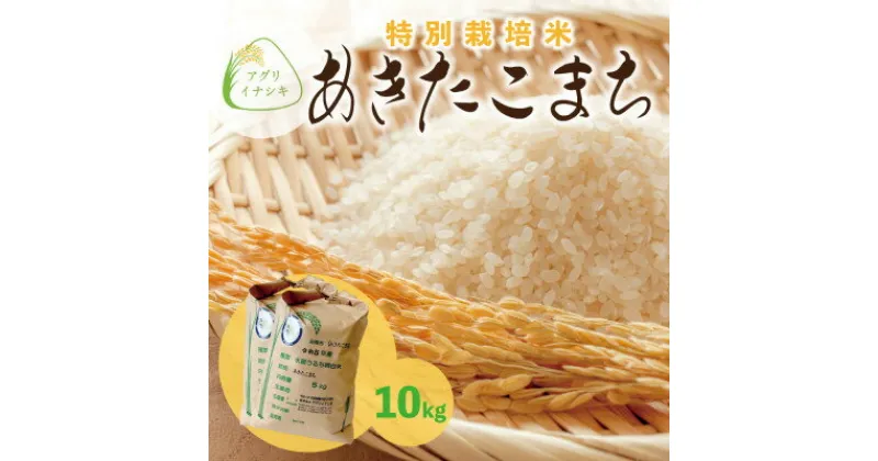 【ふるさと納税】新米　令和6年産　特別栽培米あきたこまち　10kg(5kg×2袋)【配送不可地域：離島・沖縄県】【1545993】