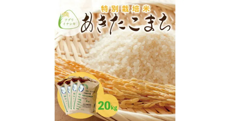 【ふるさと納税】新米　令和6年産　特別栽培米あきたこまち　20kg(5kg×4袋)【配送不可地域：離島・沖縄県】【1545994】