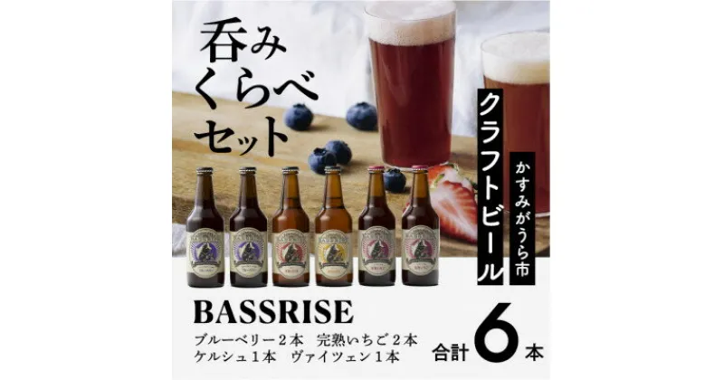 【ふるさと納税】クラフトビール6本セット(ブルーベリー、完熟いちご各2本/ケルシュ、ヴァイツェン各1本)【1235340】