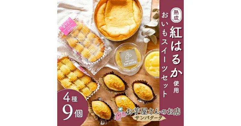 【ふるさと納税】茨城県かすみがうら市産の熟成「紅はるか」を使用した、おいもスイーツセット　4種計9個【配送不可地域：離島】【1368417】