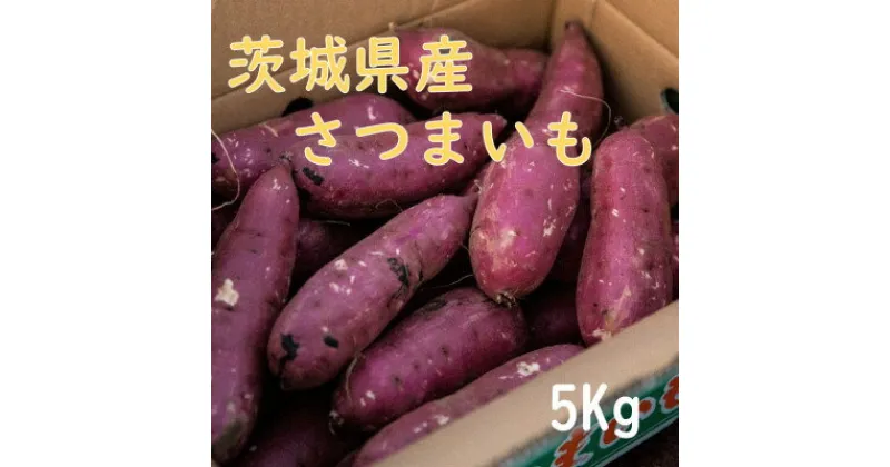 【ふるさと納税】【茨城県産】生さつまいも 紅はるか 5Kg【1437615】