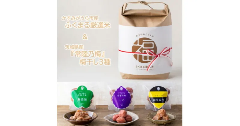 【ふるさと納税】茨城県産『常陸乃梅』梅干し3種 & ふくまる厳選米 精米 2kg×2袋【1481019】