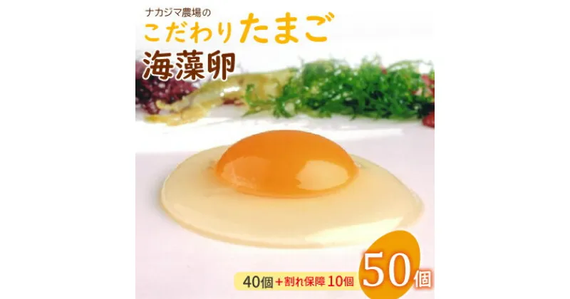 【ふるさと納税】ナカジマ農場のこだわりたまご「海藻卵」50個(40個+割れ保障10個)【配送不可地域：離島】【1528298】