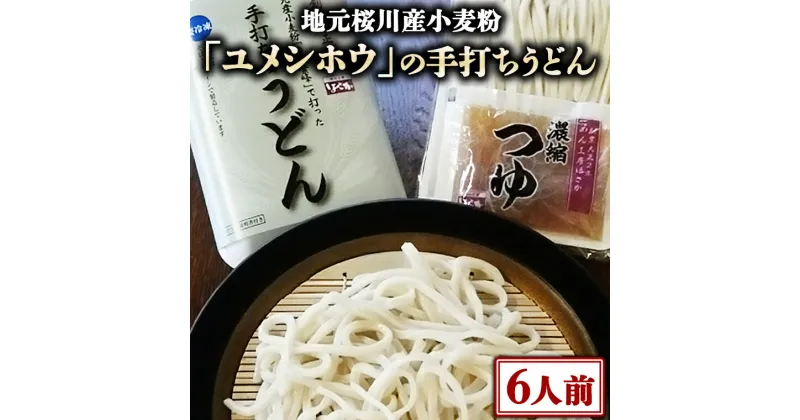 【ふるさと納税】【手打ちうどん6人前セット】地元 桜川産 小麦粉「 ユメシホウ 」使用 うどん 手打ち 麺 食品