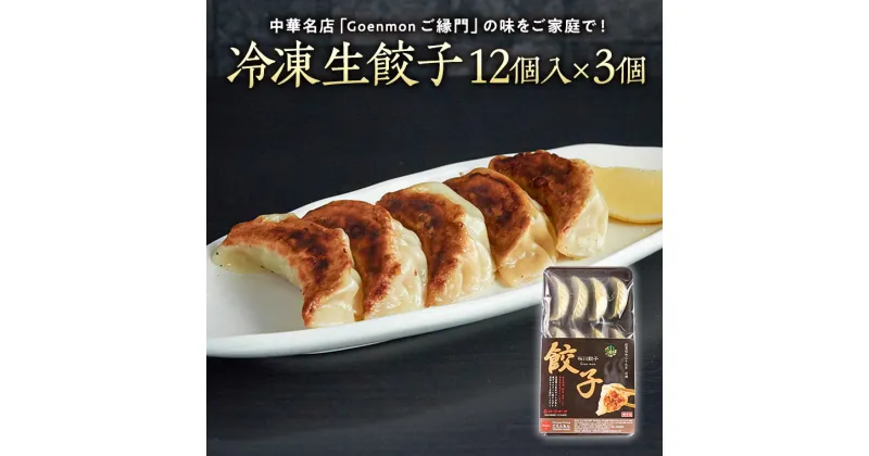 【ふるさと納税】Goenmonの冷凍生餃子 本格 中華 冷凍餃子 生餃子 ギョウザ 焼餃子 セット お取り寄せ 手包み おつまみ おかず