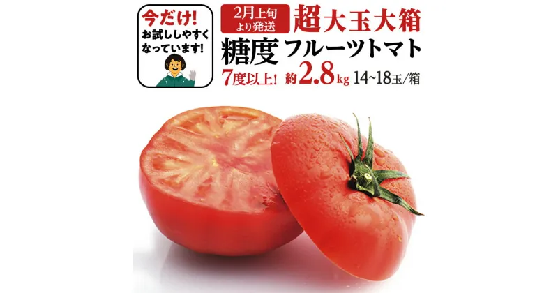 【ふるさと納税】 【12/31まで早期予約 特別寄附金額】 糖度7度以上 超大玉 フルーツトマト 大箱 約2.8kg ×1箱 （14～18玉/1箱） 2025年2月から発送開始 トマト とまと 野菜