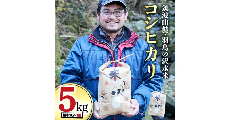 【ふるさと納税】筑波山麓 ・ 羽鳥の沢水米 コシヒカリ 5kg 米 お米 コメ 精米 白米 桜川市 茨城県