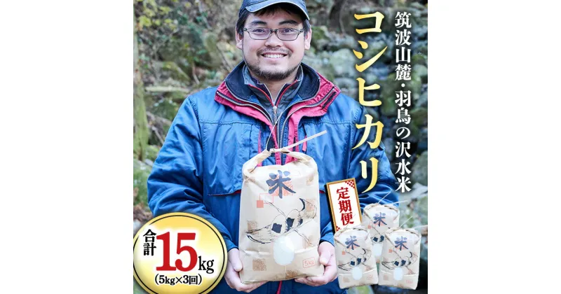 【ふるさと納税】【3ヶ月定期便】 筑波山麓・羽鳥の沢水米 コシヒカリ 5kg × 3回 定期便 米 お米 コメ 精米 白米 桜川市 茨城県