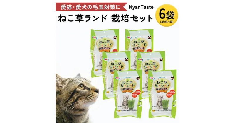 【ふるさと納税】Nyantaste ねこ草ランド栽培セット 3回分×6袋 毛玉ケア 猫用 犬用 ペットフード