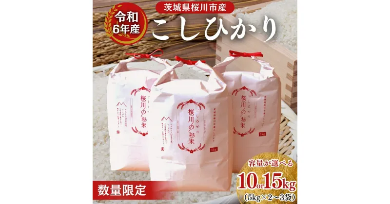 【ふるさと納税】【生産者支援】 《令和6年産》茨城県 桜川市産 こしひかり ＼選べる容量／ 15kg（5kg×3袋）10kg（5kg×2袋） 茨城県産 桜川 米 お米 白米 コメ ごはん 精米 コシヒカリ 国産 限定