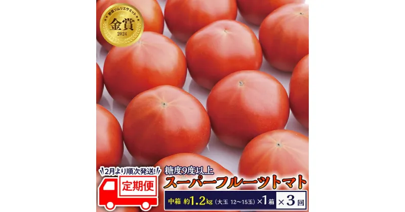 【ふるさと納税】 糖度9度以上 トマト 【 2025年収穫分 先行予約 】 【 定期便 】 スーパーフルーツトマト 中箱 約1.2kg×1箱×3回 お届け！ 糖度9度以上 フルーツトマト トマト 2025年2月上旬発送開始 とまと 野菜