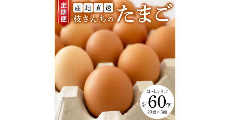 【ふるさと納税】【3ヶ月定期便】枝さんち の たまご 20個×3回 合計60個 定期便 産地直送 たまご 玉子 生卵 鶏卵 タマゴ 平飼い 桜川市産 茨城県産 卵 非遺伝子組換え