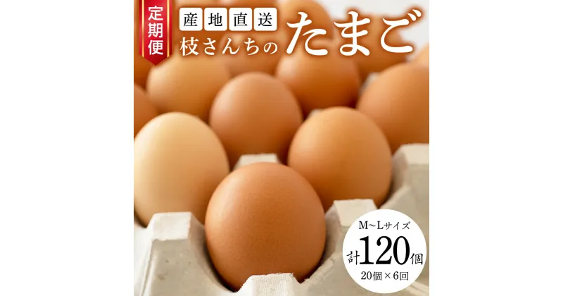 【ふるさと納税】【6ヶ月定期便】枝さんち の たまご 20個×6回 合計120個 定期便 産地直送 たまご 玉子 生卵 鶏卵 タマゴ 平飼い 桜川市産 茨城県産 卵 非遺伝子組換え