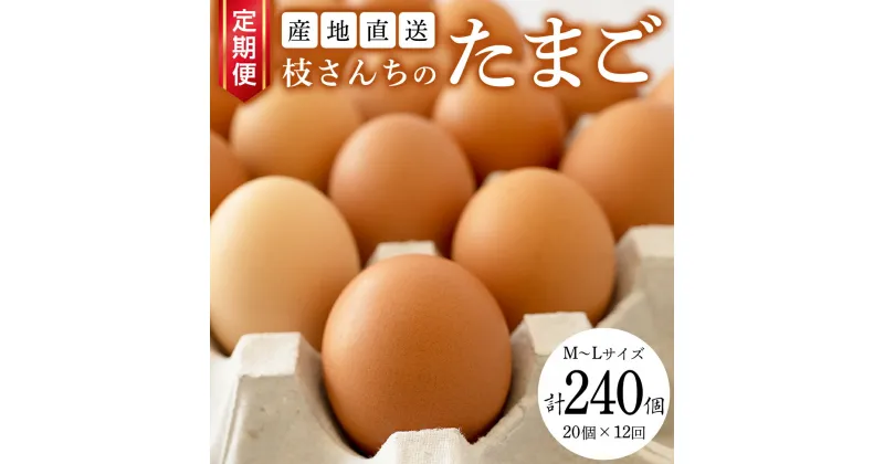 【ふるさと納税】【12ヶ月定期便】枝さんち の たまご 20個×12回 合計240個 定期便 産地直送 たまご 玉子 生卵 鶏卵 タマゴ 平飼い 桜川市産 茨城県産 卵 非遺伝子組換え