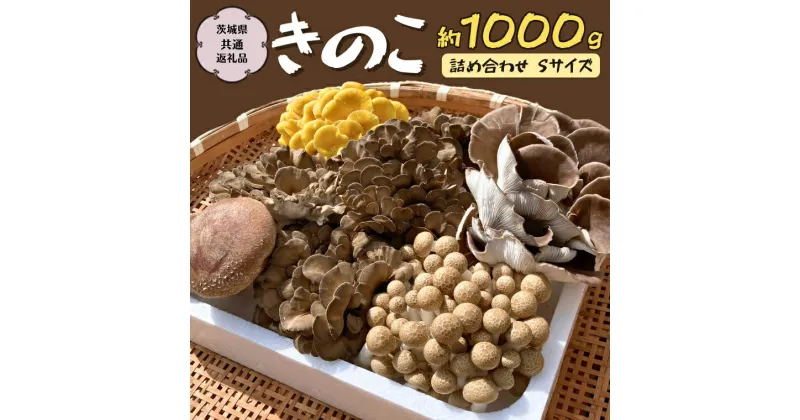 【ふるさと納税】きのこ の 詰め合わせ Sサイズ 約1000g【茨城県共通返礼品 城里町】 キノコ 舞茸 あわび茸 たもぎ茸 しいたけ ぶなしめじ