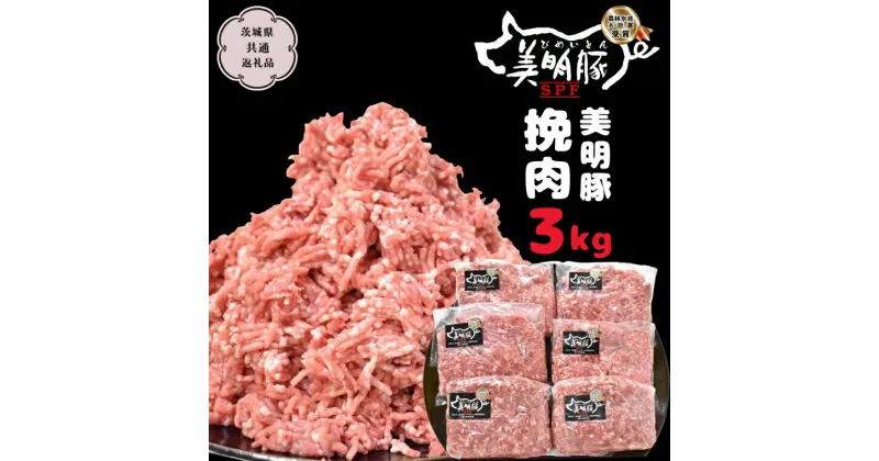 【ふるさと納税】美明豚 挽肉 3kg【茨城県共通返礼品 行方市】 豚肉 国産 銘柄 グルメ 茨城県 料理