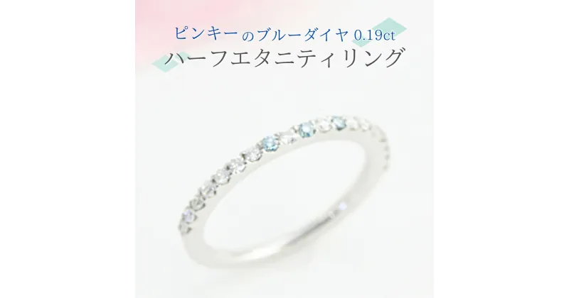 【ふるさと納税】ピンキーの ブルーダイヤ 0.19ct ハーフエタニティリング ダイヤモンド リング ジュエリー アクセサリー レディース ギフト プレゼント 贈り物