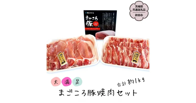 【ふるさと納税】まごころ豚 焼肉セット バラ 500g ロース500g 合計1kg (茨城県共通返礼品／鉾田市) ブランド豚 バラ ロース 焼肉 BBQ 仲田精肉店