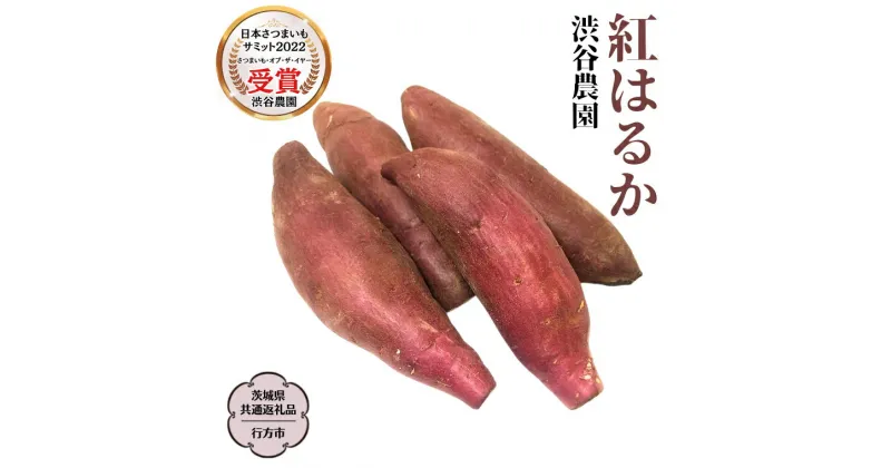 【ふるさと納税】 紅はるか 約5kg 約10kg【茨城県共通返礼品／行方市】 ＼選べる内容量／ 2024年11月から発送開始 渋谷農園 さつまいも いも 芋 焼芋