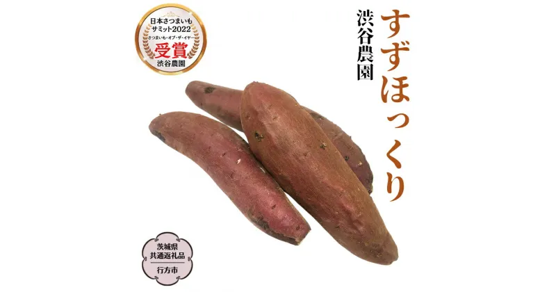 【ふるさと納税】 すずほっくり 〈 選べる内容量 〉 【茨城県共通返礼品／行方市】2024年11月から発送開始 渋谷農園 さつまいも いも 芋 焼芋