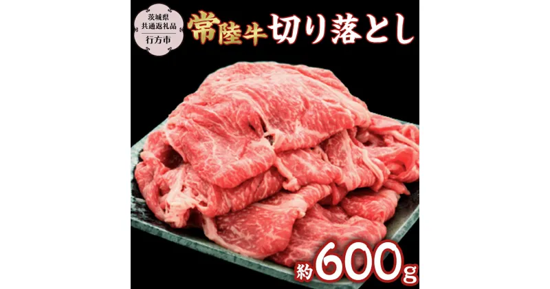 【ふるさと納税】常陸牛切り落とし約600g 【茨城県共通返礼品】 常陸牛 ブランド牛 [DS013sa]