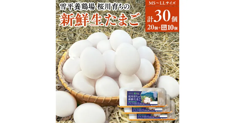 【ふるさと納税】雪平養鶏場 桜川育ちの 新鮮 たまご 合計30個（20個＋10個割れ補償付) 数量限定 卵 [SC032sa]