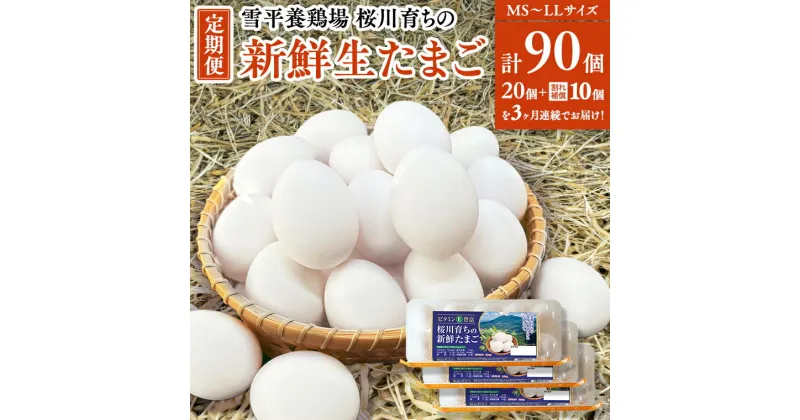 【ふるさと納税】《3ヵ月定期便》雪平養鶏場 桜川育ちの 新鮮 たまご 合計90個（20個＋10個割れ補償付)×3回 数量限定 卵 定期便 茨城県 桜川市