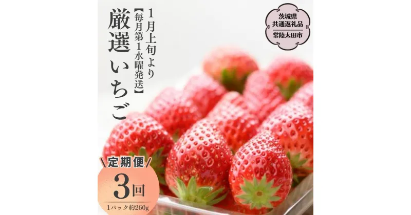 【ふるさと納税】《2025年1月上旬》【定期コース】厳選いちご 2パック ～ 4パック × 3回【第1水曜発送】（茨城県共通返礼品／常陸太田市) フルーツ 苺 イチゴ いちご 新鮮 朝採れ 茨城県 桧山FRUITFARM