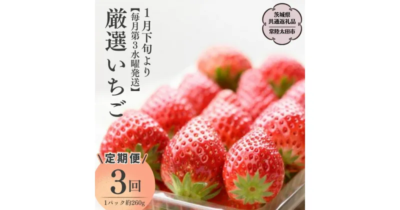 【ふるさと納税】《2025年1月下旬》【定期コース】厳選いちご（ 2パック×1箱 )～ ( 4パック×1箱 ) ×3回【第3水曜発送】（茨城県共通返礼品／常陸太田市) フルーツ 苺 イチゴ いちご 新鮮 朝採れ 茨城県 桧山FRUITFARM