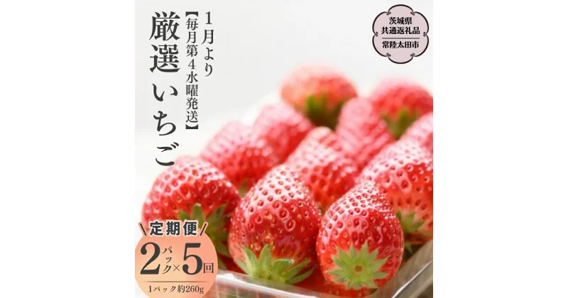 【ふるさと納税】《2025年1月発送開始》 【定期 毎月お届けコース】厳選いちご 2パック×5回 （茨城県共通返礼品／常陸太田市） フルーツ 苺 イチゴ いちご 新鮮 朝採れ 茨城県 桧山FRUITFARM