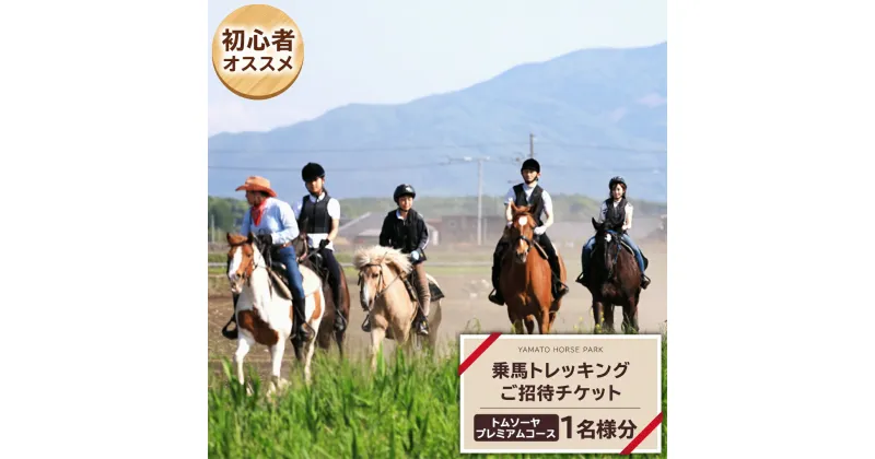 【ふるさと納税】《初心者おススメ》 トムソーヤ プレミアム コース 乗馬 トレッキング 体験チケット アウトドア