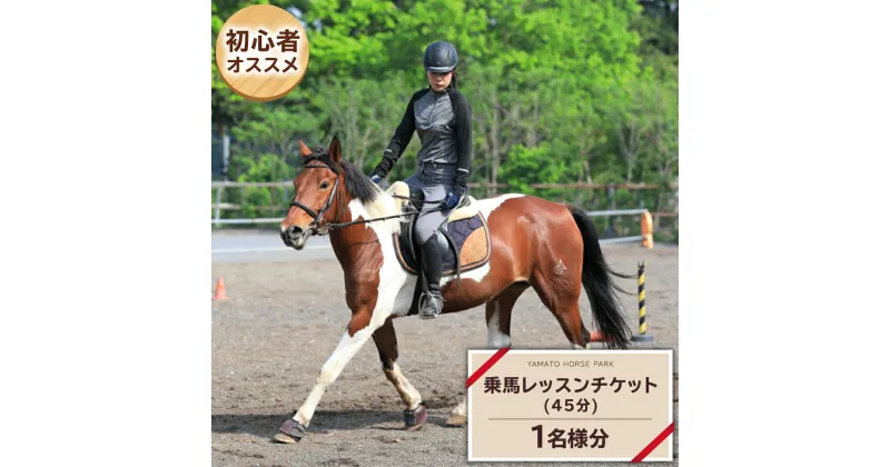 【ふるさと納税】乗馬 レッスン1回 コース（45分） 乗馬 トレッキング 体験チケット アウトドア