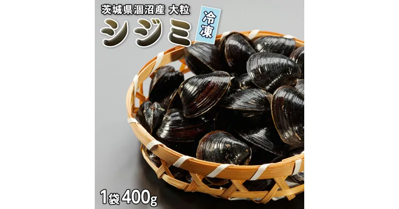 【ふるさと納税】茨城県 涸沼産 大粒 冷凍 シジミ 4～8袋 ( 1袋 400g ) ヤマトシジミ しじみ 大粒 冷凍 味噌汁 スープ 魚貝類 貝 オルニチン コハク酸 小分け