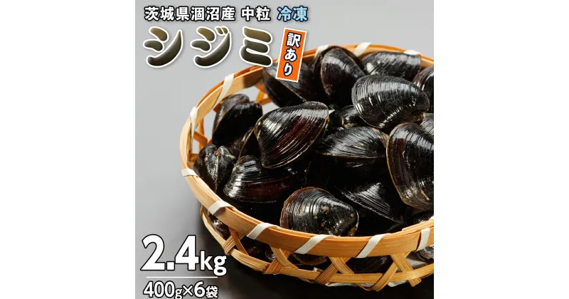 【ふるさと納税】【訳あり】茨城県 涸沼産 中粒 冷凍 シジミ 2.4kg（400g×6袋） ヤマトシジミ しじみ 中粒 冷凍 味噌汁 スープ 魚貝類 貝 オルニチン コハク酸 小分け