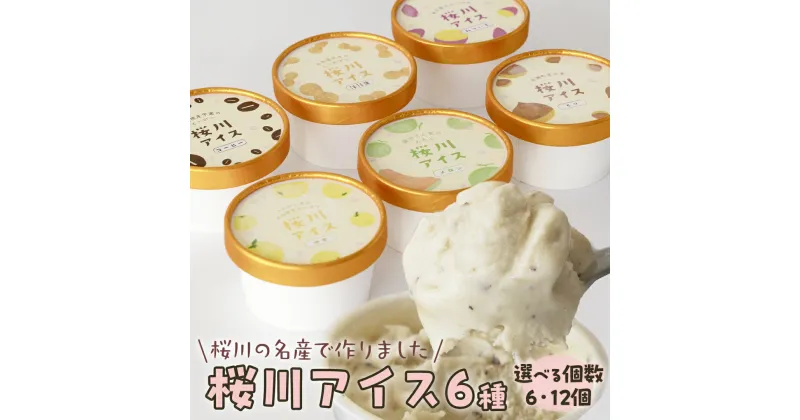 【ふるさと納税】【生産者支援】桜川アイス 6種 6個 or 12個セット 数量限定 食べ比べ 90ml×6種類 桜川市のこだわり素材を使用 アイス あいす デザート スイーツ 産地限定 おやつ カップ フレーバー メロン ゆず 蜜芋 コーヒー 栗 茨城県