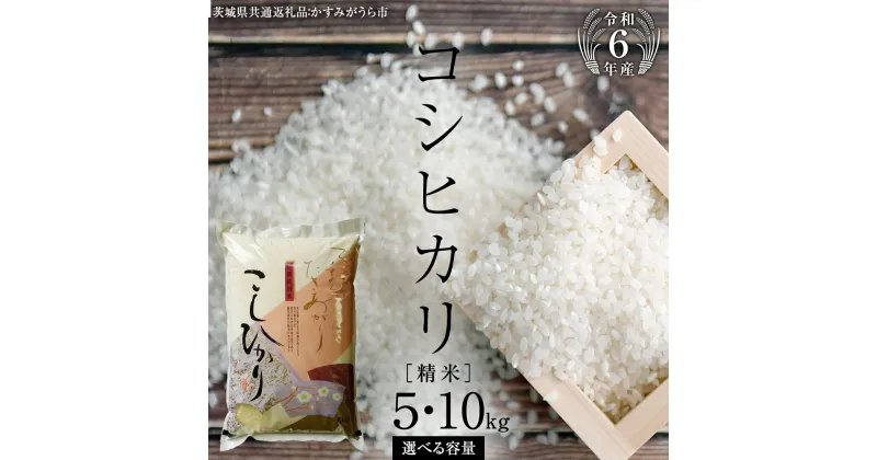 【ふるさと納税】 《 令和6年産 》 コシヒカリ 精米 5kg ～ 10kg ( 選べる 内容量 ) (茨城県共通返礼品 かすみがうら市) 米 ごはん もっちり 甘い コメ お米 白米