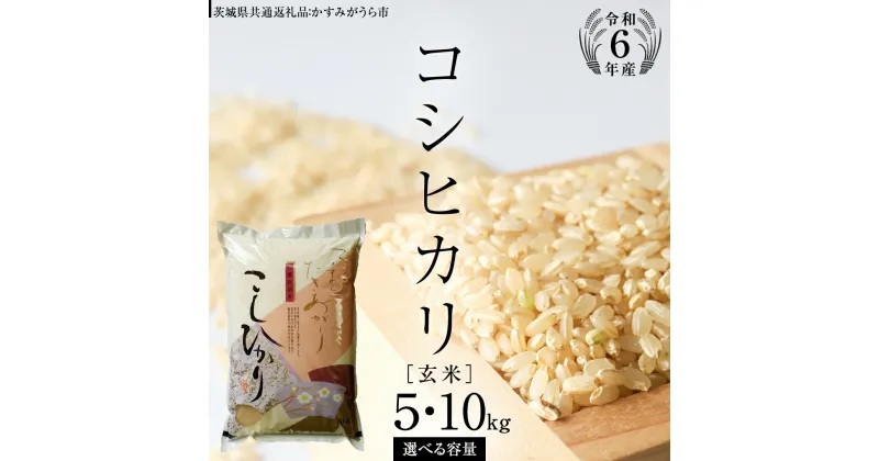 【ふるさと納税】《 令和6年産 》 コシヒカリ 玄米 5kg ～ 10kg ( 選べる 内容量 ) (茨城県共通返礼品 かすみがうら市) 米 ごはん もっちり 甘い コメ お米 玄米