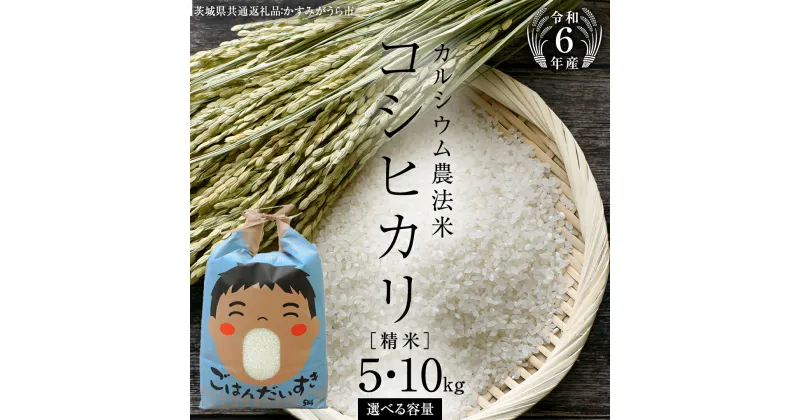 【ふるさと納税】 《 令和6年産 》 カルシウム農法米 コシヒカリ 精米 5kg ～ 10kg ( 選べる 内容量 ) (茨城県共通返礼品 かすみがうら市) 米 ごはん 粘り ツヤ コメ お米 白米