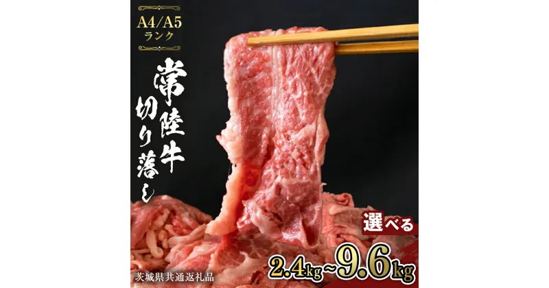 【ふるさと納税】【 選べる 定期便 回数 】 常陸牛 切り落とし 800g ( 400g × 2袋 ) 3回 6回 12回 使いやすい 小分け パック A4 A5 ランク 茨城県共通返礼品 黒毛和牛 国産黒毛和牛 和牛 国産 牛肉 牛 お肉 肉 ひたち牛