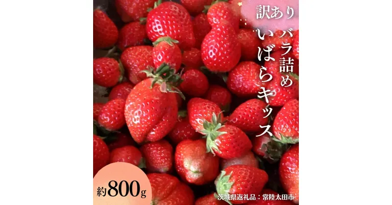 【ふるさと納税】【 訳あり 】【 先行予約 2025年2月以降発送 】 いばらキッス たっぷり 約800g バラ詰め （茨城県共通返礼品／常陸太田市） フルーツ 苺 イチゴ いちご 新鮮 朝採れ 茨城県 桧山FRUITFARM