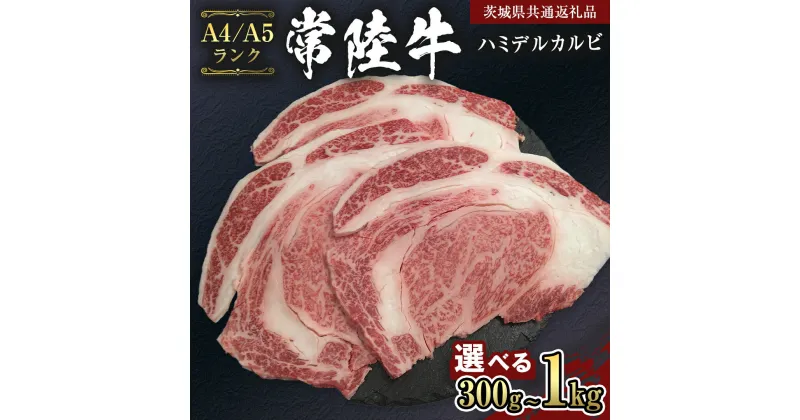 【ふるさと納税】【 常陸牛 】 ハミデルカルビ 300g ～ 1kg （茨城県共通返礼品） カルビ 黒毛和牛 国産黒毛和牛 和牛 国産 牛肉 牛 お肉 肉 ひたち牛 冷凍