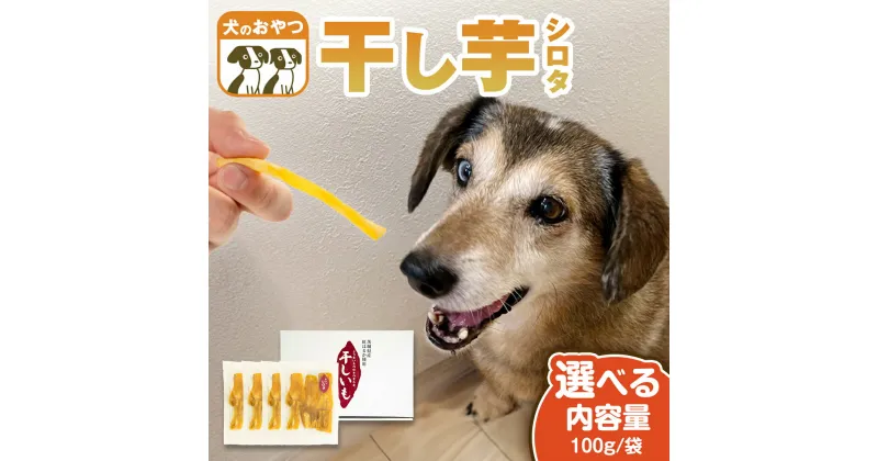 【ふるさと納税】《 選べる 袋数 》 犬 の おやつ 干し芋 シロタ ( 100g × 4袋 ～ 8袋 ) 国産 手作り さつまいも 芋 お菓子 小分け 個包装 少量 栄養 食物繊維 噛みごたえ ドッグフード わんちゃん わんこ ペット ペットフード