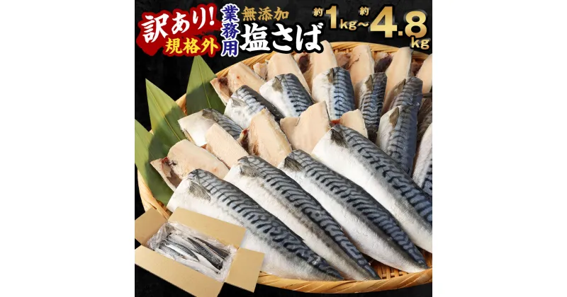 【ふるさと納税】＜選べる＞訳あり 規格外 業務用 無添加 塩さば 1kg 1.5kg 1.9kg 3kg 4.8kg 鯖 サバ さば 魚 国内加工 冷凍 茨城県 神栖市 送料無料