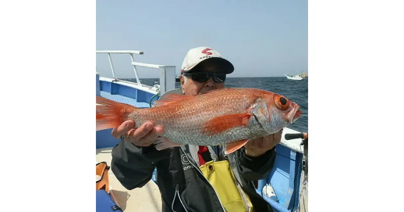 【ふるさと納税】釣り船乗船券 第二浜茄子丸 1名様分 毎日出船 はさき遊漁船協議会 大型アルミ船 アカムツ ヒラメ テンヤマダイ 中深場のオニカサゴ 食事なし 宿泊なし 体験 神栖市 茨城県