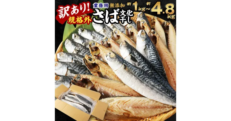 【ふるさと納税】＜選べる＞訳あり 規格外 業務用 無添加 さば 文化干し 1kg 1.5kg 1.9kg 3kg 4.8kg 鯖 サバ 魚 干物 国内加工 冷凍 茨城県 神栖市 送料無料